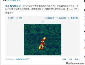 最新宠物爆料视频下载,视频下载背后的精彩瞬间